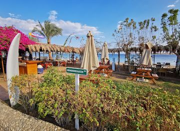 egypt/hurghada/el-mamsha/bar/windbreaker-bar