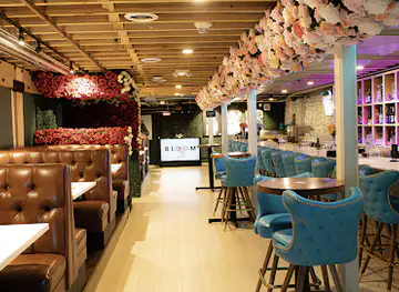 Bloom Ultra Lounge
