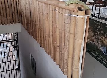 jamaica/john-crow-mountains/bar/barnaby-s-sports-bar-grill