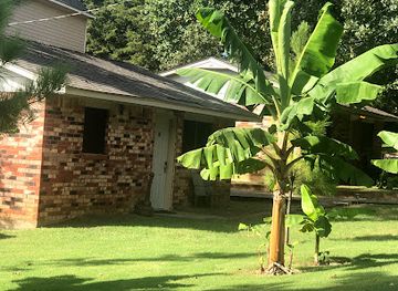 oklahoma/lake-texoma/bar/lake-texoma-lodge-and-resort