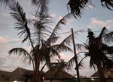 vanuatu/shefa-province/bar/sano-s-kava-bar