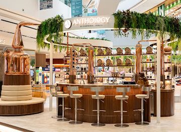 singapore/changi/bar/anthology-by-compendium-spirits-jewel