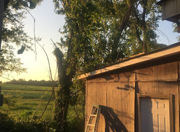 tennessee/west-tennessee/bar/sharps