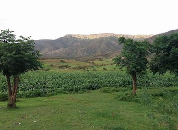 eritrea/debub-region/bar/endhish-bus-station