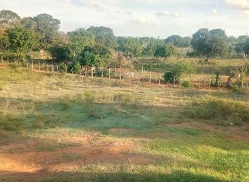 jamaica/pedro-plains/bar/barbary-hall