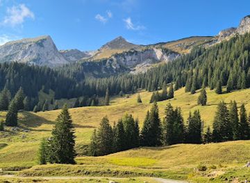 austria/gesause-national-park/bar/huberalm