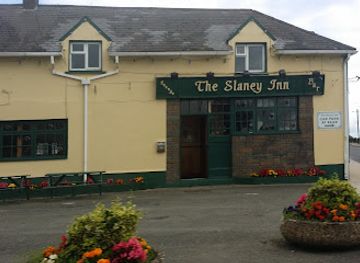ireland/county-wexford/bar/the-slaney-inn-bar-and-restaurant