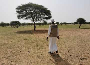 chad/wadi-fira/bar/le-chari-bar-resto-iriba-chad