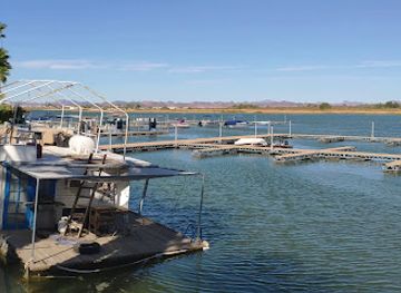 arizona/la-paz-county/bar/martinez-lake-resort-cantina