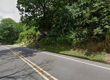 colombia/sierra-nevada-de-santa-marta/bar/theirishplace