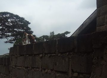 kenya/lake-magadi/bar/red-bull-bar-restraurant