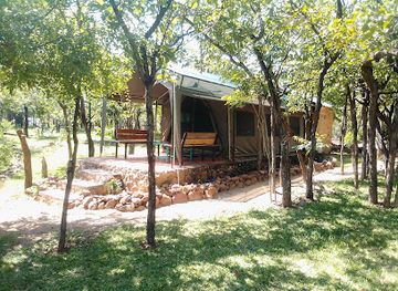 zambia/lake-kariba/bar/warthogs-safari-camp-kariba