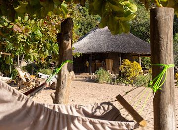malawi/lake-malawi/bar/mufasa-eco-lodge
