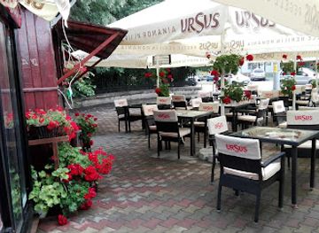 romania/buzau/bar/terasa-crang