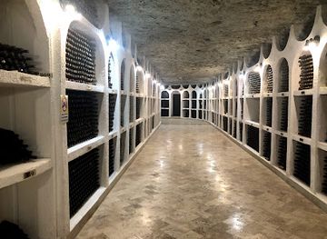 moldova/cricova-wine-cellars/bar/beciurile-cricova