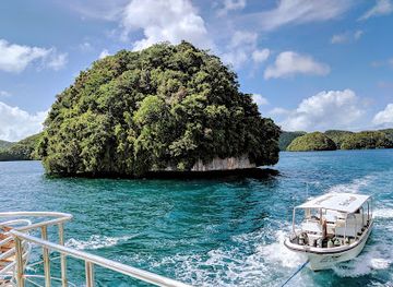 micronesia/koror/bar/fish-n-fins-palau