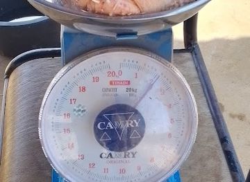 mauritania/gorgol/bar/poulailler-welma