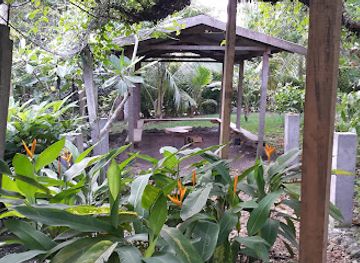vanuatu/lopevi/bar/el-manaro-kava-bar