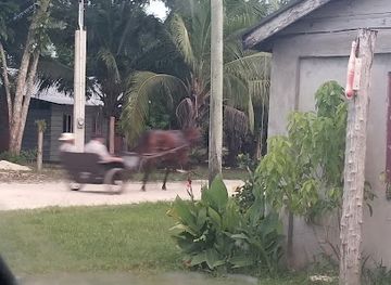 belize/mountain-pine-ridge/bar/tillett-s-salbutes