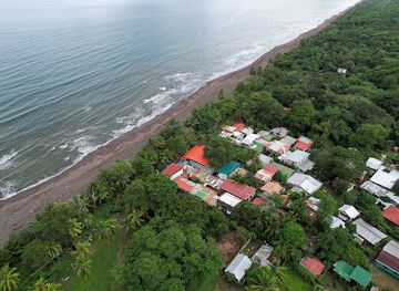 costa-rica/tortuguero-national-park/bar/hotel-el-deseo-serendipity