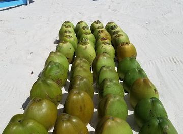 barbados/crane-beach/bar/official-coconut-cocktails