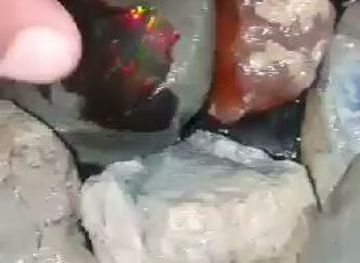 somalia/awdal/bar/boramee