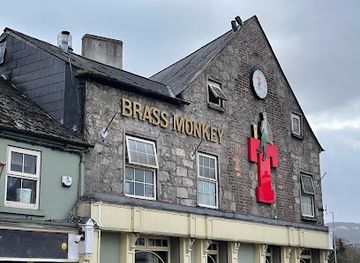 ireland/mourne-mountains/bar/the-brass-monkey