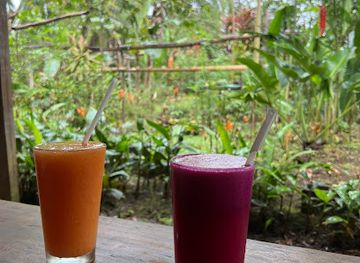 costa-rica/san-carlos/bar/botanic-restaurante-te-ofrece-variante-de-comidas-y-bebidas