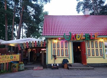 estonia/laane-viru-county/bar/ukulele