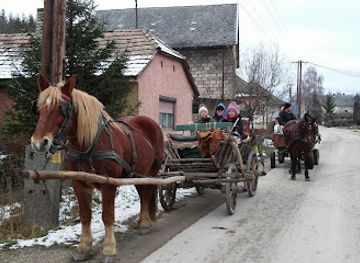 hungary/central-transdanubia/bar/anci-bufeje