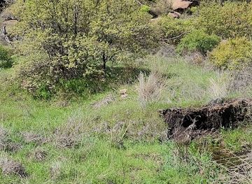 oklahoma/wichita-mountains-wildlife-refuge/bar/wichita-mountains-wildlife-refuge