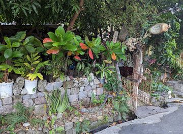 dominica/scotts-head/bar/la-belle-bar-cuisine