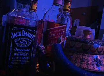 The Lakecity Bartending Service | Best Bartender In Udaipur