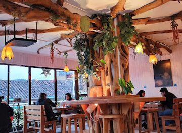 mexico/lacandon-jungle/bar/kinoki