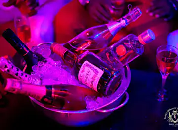 Tarex Lounge