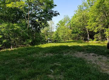 maryland/green-ridge-state-forest/bar/green-ridge-state-forest-campsite-20