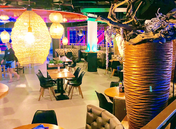 netherlands/the-hague/scheveningen/bar/little-cuba