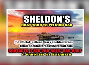 jamaica/black-river-great-morass/bar/sheldon-s-boat-tour-to-floyd-s-pelican-bar