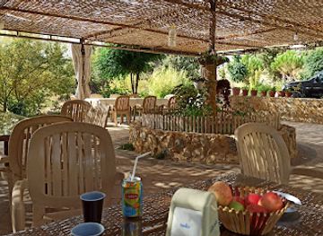 lebanon/chouf/bar/al-kooz-cafe