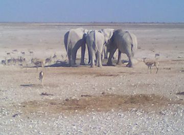 namibia/swakopmund/bar/vintage-bar-grill-swakopmund