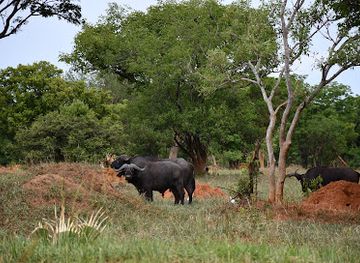 uganda/arua/bar/club