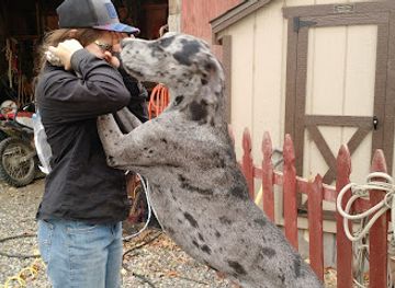 idaho/snake-river-canyon/bar/salmon-river