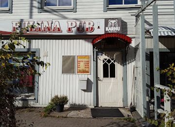 finland/turku/ruissalo/bar/pulina-pub