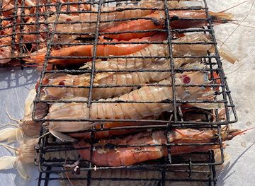 morocco/essaouira/bar/bloody-mary