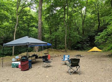 maryland/green-ridge-state-forest/bar/green-ridge-forest-site-66