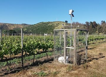 chile/aconcagua-valley/bar/vina-casa-marin