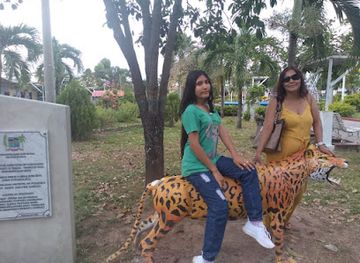 peru/pacaya-samiria-national-reserve/bar/restaurant-la-gata