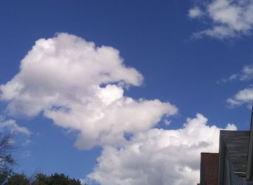 illinois/cicero/bar/millie-s-place