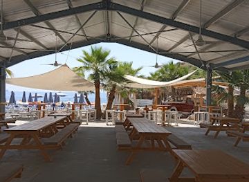 cyprus/governor-s-beach/bar/palm-beach-kalymnos