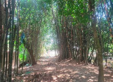 bangladesh/bhawal-region/bar/the-bashmooraaa